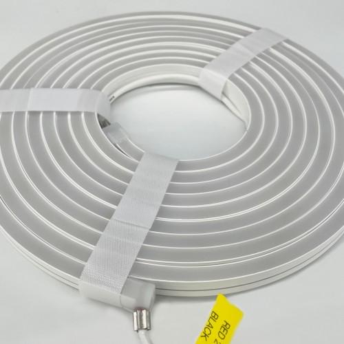 Curved Co-extruded Neon-0410J