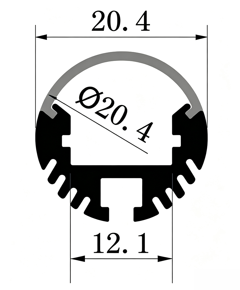 D20（传）.png