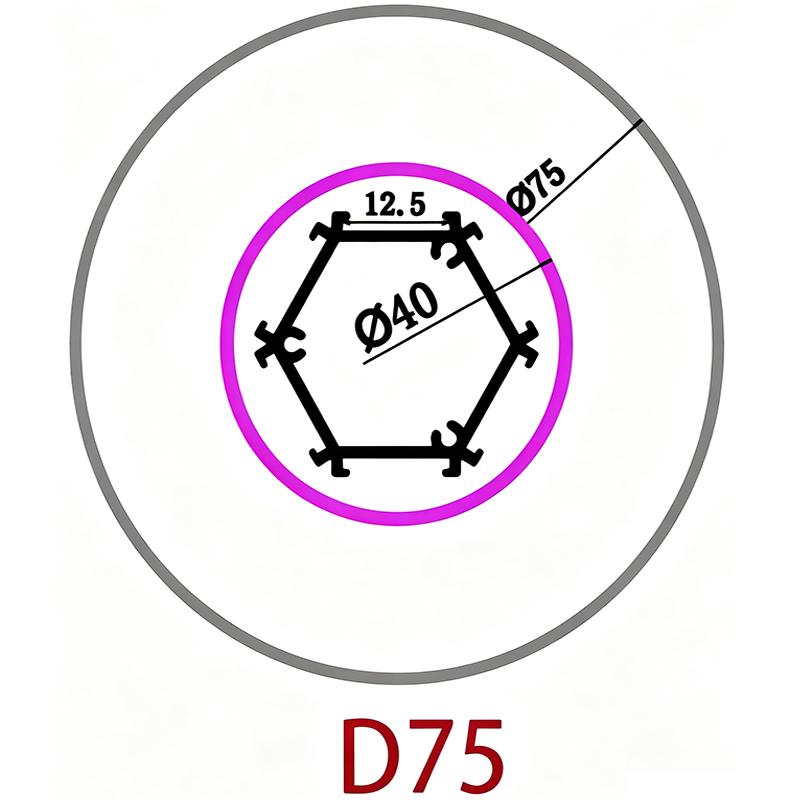 D75（传）.png